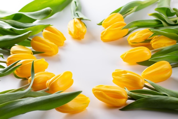 Flores de primavera de tulipas amarelas isolam em um fundo branco O conceito da celebração Copiar espaço para texto