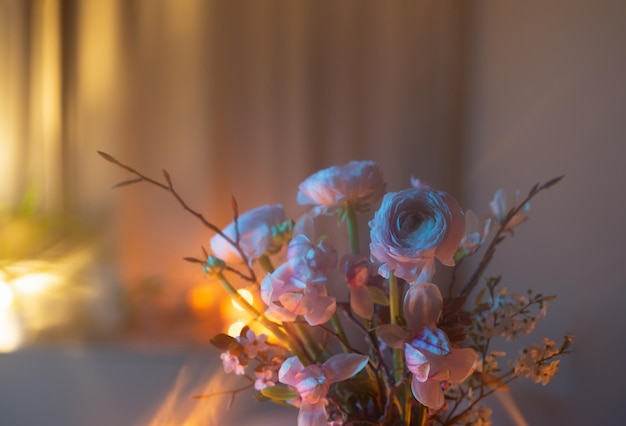 flores de primavera se fecham em luz de cor