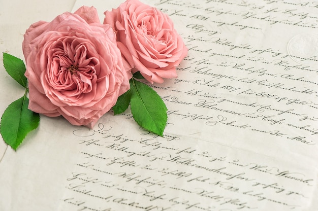Flores de rosa cor de rosa sobre carta manuscrita antiga. Fundo de papel vintage. Foco seletivo