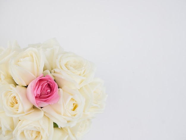 Flores de rosas brancas e uma flor rosa rosa