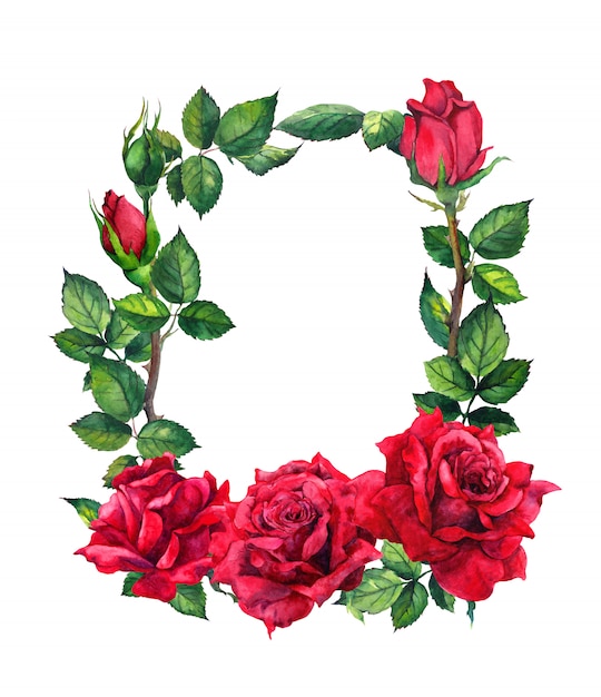 Flores de rosas vermelhas - borda floral. Quadro aquarela