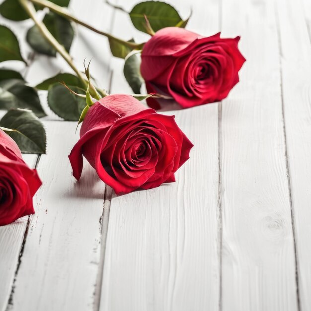 Flores de rosas vermelhas sobre fundo de madeira branca Cartão de saudação romântico para o Dia dos Namorados