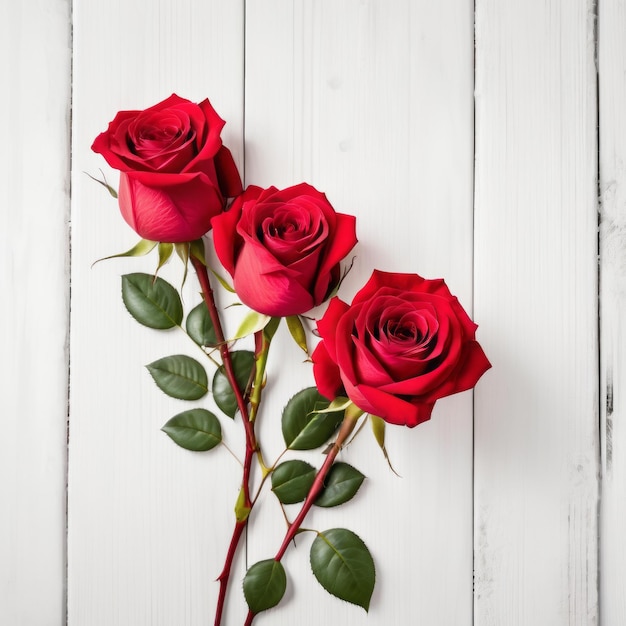 Flores de rosas vermelhas sobre fundo de madeira branca Cartão de saudação romântico para o Dia dos Namorados