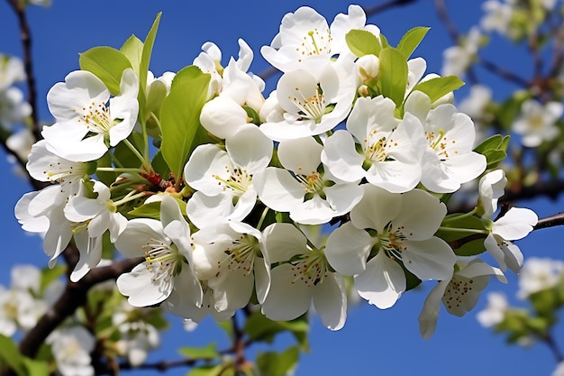 Flores de Árvores Concentre-se nas flores de diferentes tipos de árvores criadas com inteligência artificial