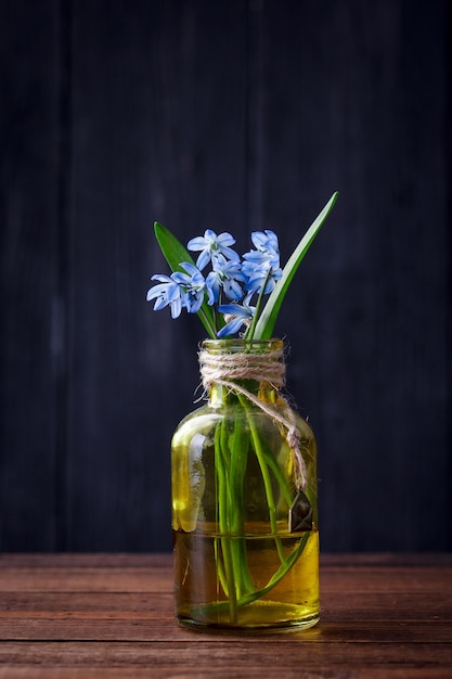 Flores de snowdrops em um vaso