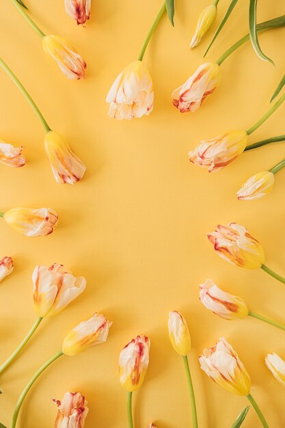 Flores de tulipa amarela em amarelo