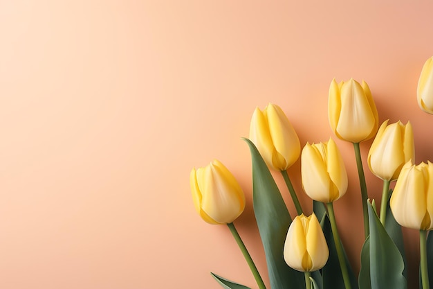 Flores de tulipa em fundo amarelo pastel