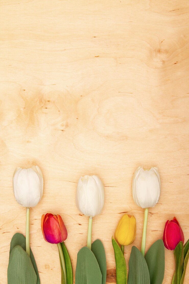 Foto flores de tulipa em fundo de madeira com espaço para cópia cartão vintage com madeira e flores