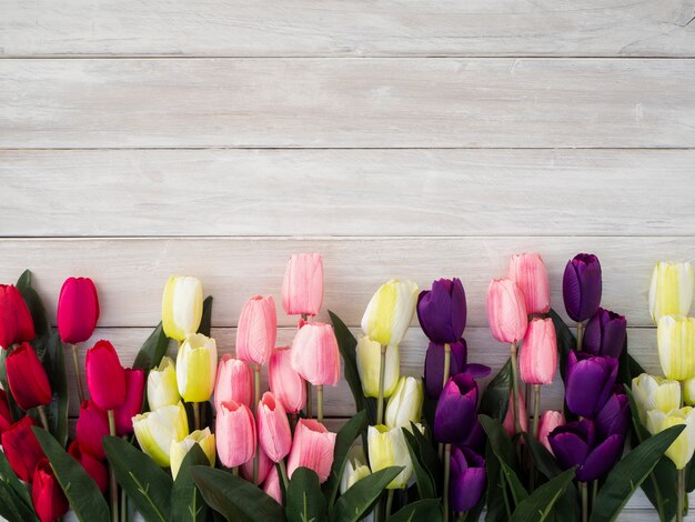 Flores de tulipas da primavera em um velho de madeira