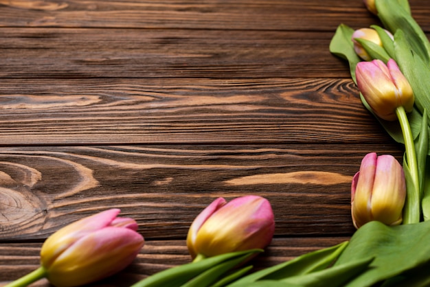 Flores de tulipas primavera nas tábuas de madeira de mesa. Cartão para dia das mães, Páscoa. Copie o espaço