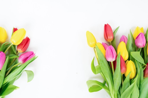 Flores de tulipas rosa e violetas sobre fundo branco com espaço de cópia