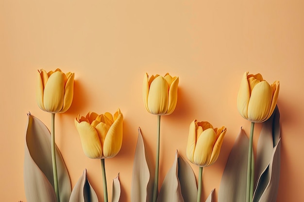 flores de tulipas