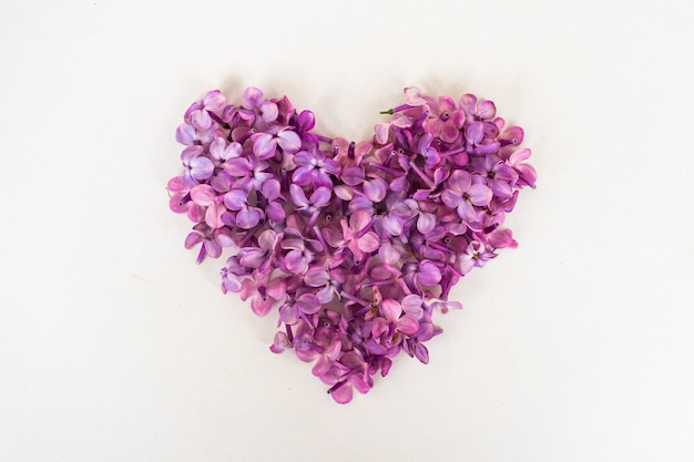 Flores de um lilás em forma de coração isolado em um branco
