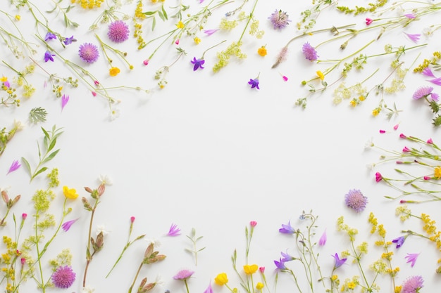 Flores de verão em papel branco fundo