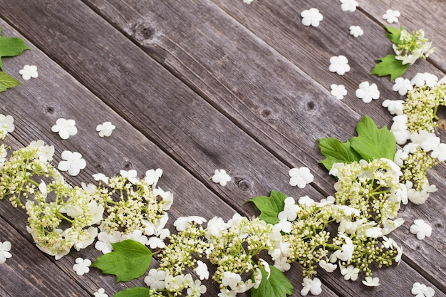Flores de viburnum em fundo de madeira