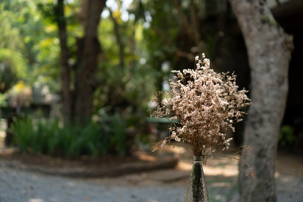 Flores para decoración en restaurantes y cafeterías.