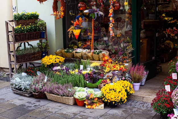 Flores y decoraciones de otoño en la floristería Floristería callejera en europa