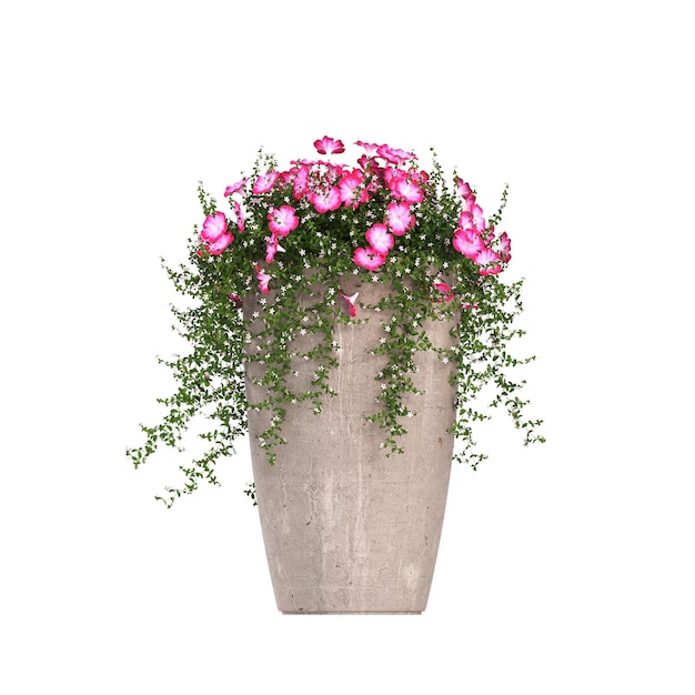 flores decorativas y plantas para el interior aisladas sobre fondo blanco ilustración 3D cg re