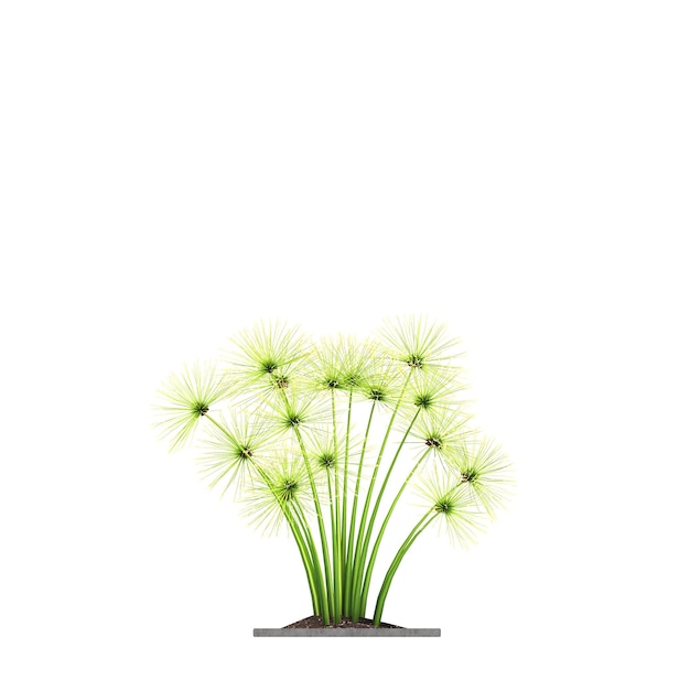 flores decorativas y plantas para el interior aisladas sobre fondo blanco ilustración 3D cg re