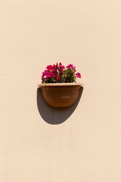 Flores decorativas que crecen en un jarrón