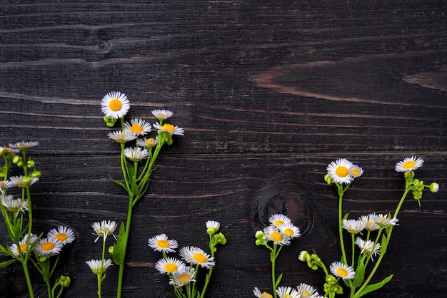 Flores delicadas de campo sobre un fondo de madera oscura