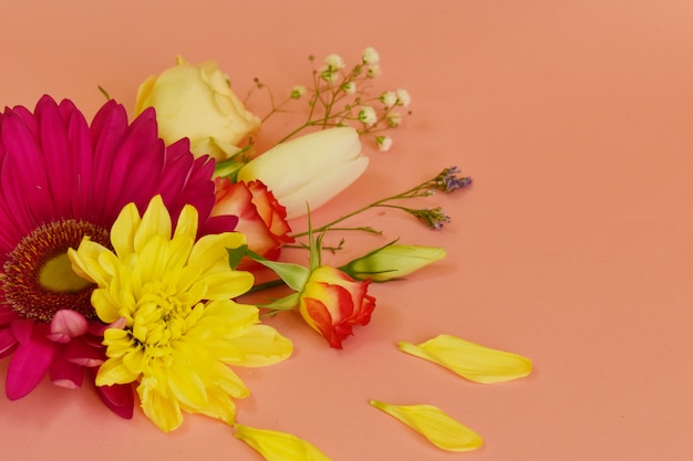 Foto flores delicadas em um plano de fundo rosa com lugar para texto.