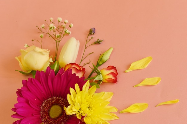 Foto flores delicadas em um plano de fundo rosa com lugar para texto.