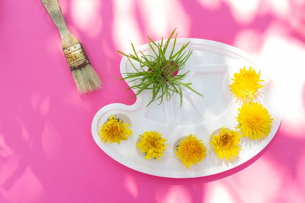 Flores de diente de león amarillas en una paleta Concepto de arte de verano sobre un fondo rosa Paleta de acuarela con foto de arte