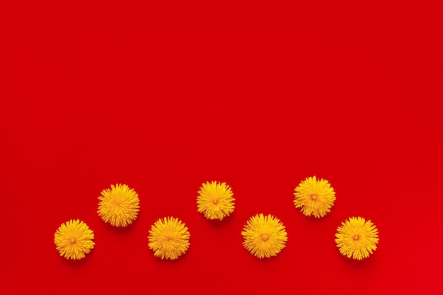 Flores de diente de león amarillo en flor en el marco de forma sobre un fondo de papel rojo plano con espacio de copia