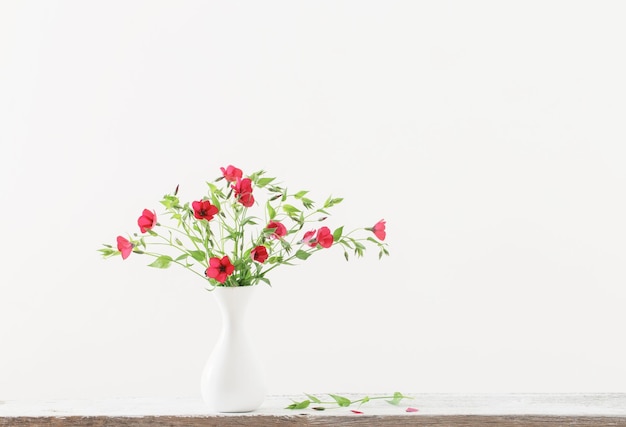 Flores do verão em um vaso branco