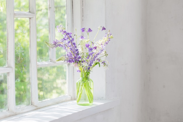 Flores do verão em um vaso no peitoril da janela na luz solar