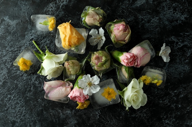 Flores e cubos de gelo em fundo preto esfumaçado