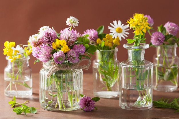 Flores e ervas medicinais coloridas em frascos de vidro