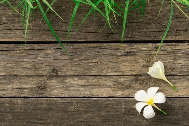 Foto flores e hierba blancas del plumeria en fondo de madera. marco del concepto de naturaleza.