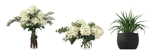 flores e plantas decorativas para o interior isoladas em fundo branco ilustração 3D cg re
