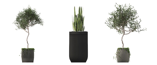 flores e plantas decorativas para o interior isoladas em fundo branco ilustração 3D cg re