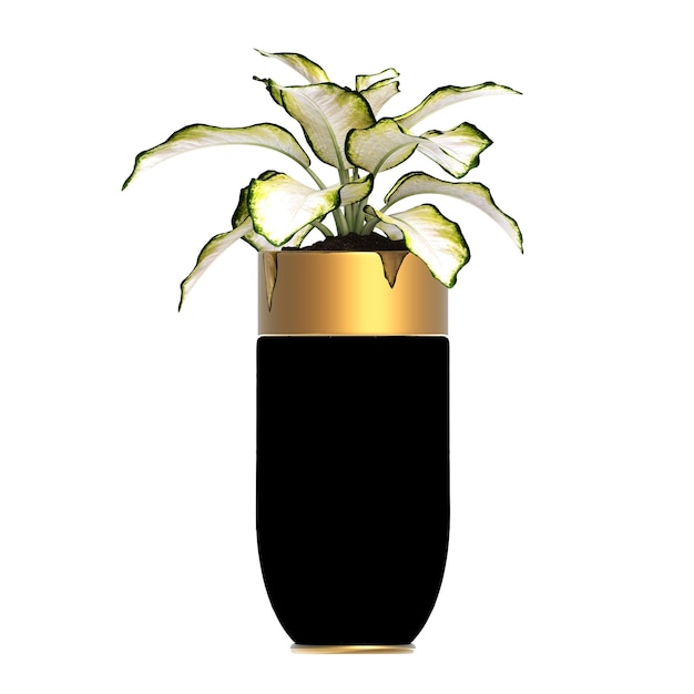 flores e plantas decorativas para o interior isoladas em fundo branco ilustração 3D cg re