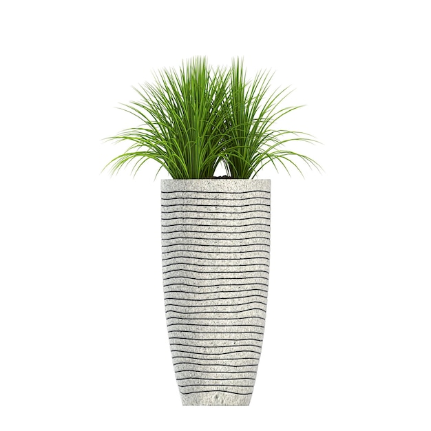 flores e plantas decorativas para o interior isoladas em fundo branco ilustração 3D cg re