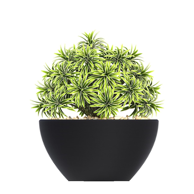 flores e plantas decorativas para o interior isoladas em fundo branco ilustração 3D cg re