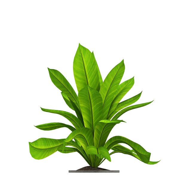 flores e plantas decorativas para o interior isoladas em fundo branco ilustração 3D cg re