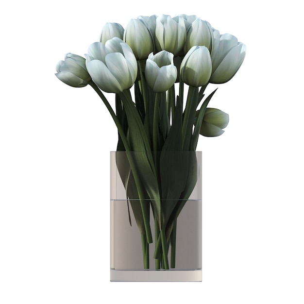 flores e plantas decorativas para o interior, isoladas no fundo branco, ilustração 3D, cg r