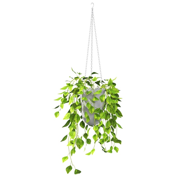 flores e plantas decorativas para o interior, isoladas no fundo branco, ilustração 3D, cg re