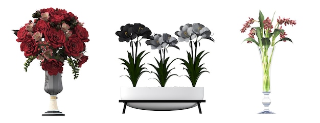 flores e plantas decorativas para o interior, isoladas no fundo branco, ilustração 3D, cg re