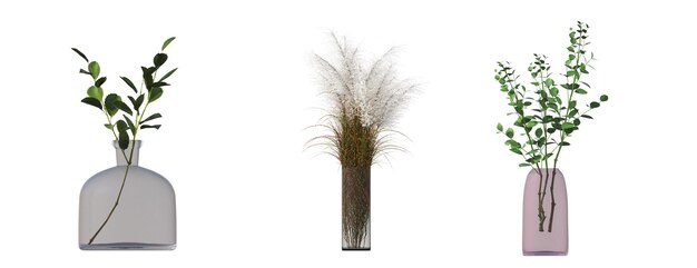 flores e plantas decorativas para o interior, isoladas no fundo branco, ilustração 3D, cg re