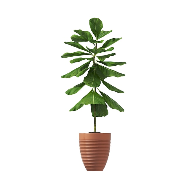 flores e plantas decorativas para o interior, isoladas no fundo branco, ilustração 3D, cg re