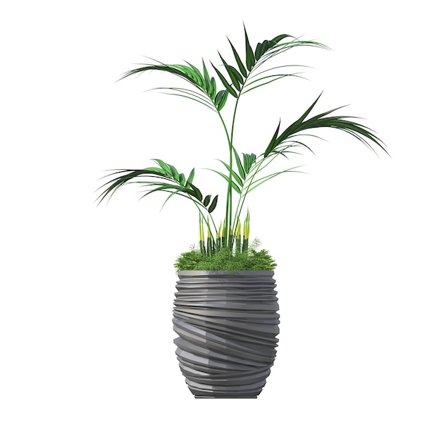 flores e plantas decorativas para o interior, isoladas no fundo branco, ilustração 3D, cg