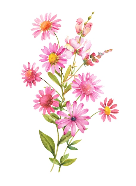 Foto flores em aquarela buquê de crisântemos rosa