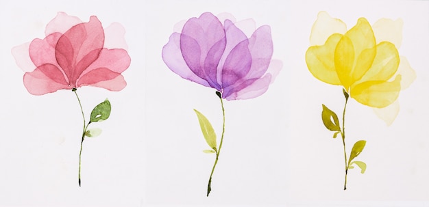 flores em aquarela