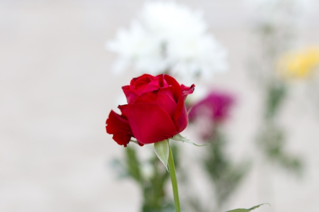 Flores em homenagem a iemanjá, na areia da praia de Copacabana no Rio de Janeiro - Brasil.