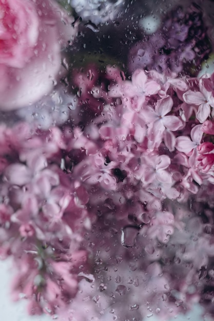 Flores em um copo com gotas de água